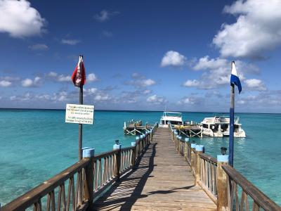 Plongée Vyki's reef, Bahamas — photo 3