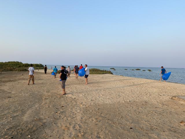 Opération de nettoyage de la mangrove avec le staff, Red Sea Governorate - Egypte — photo 4