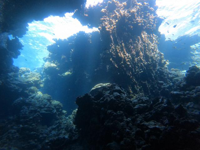 Plongée Sha'ab Claudia, Red Sea Governorate - Égypte — photo 4