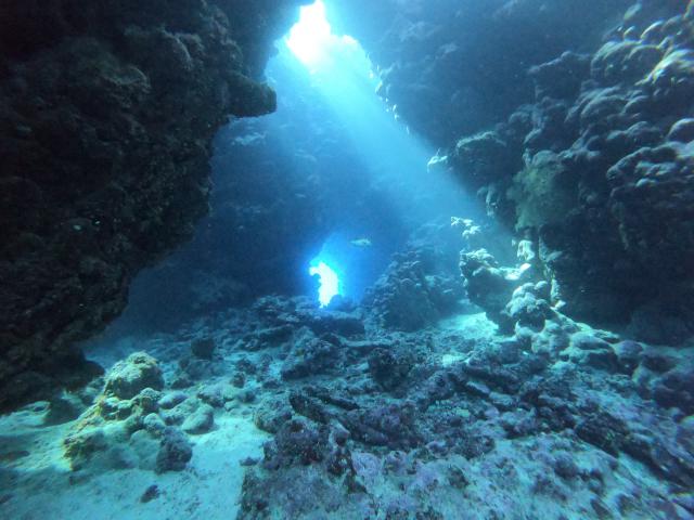 Plongée Sha'ab Claudia, Red Sea Governorate - Égypte — photo 2