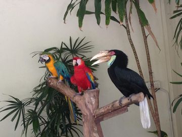 Vendredi 19 février - Kuala Lumpur