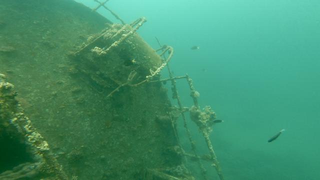 Plongée Cedar Pride Wreck, Aqaba - Jordanie — photo 2