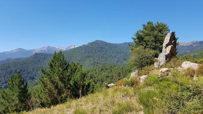 Ballade en 4×4, visite de Corse, Ghisoni - France — photo 5