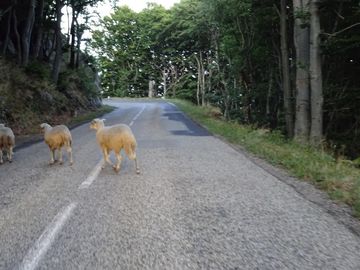 Lundi 24/08/15 départ... à la bourre vers 17h - Monts d'Ardèche — photo 2