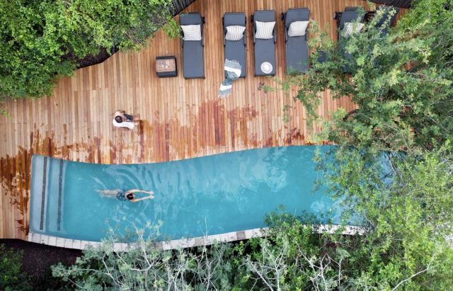 Hôtel Londolozi Game Reserve dans le parc Kruger en Afrique du Sud