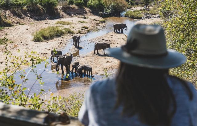 Hôtel Londolozi Game Reserve dans le parc Kruger en Afrique du Sud