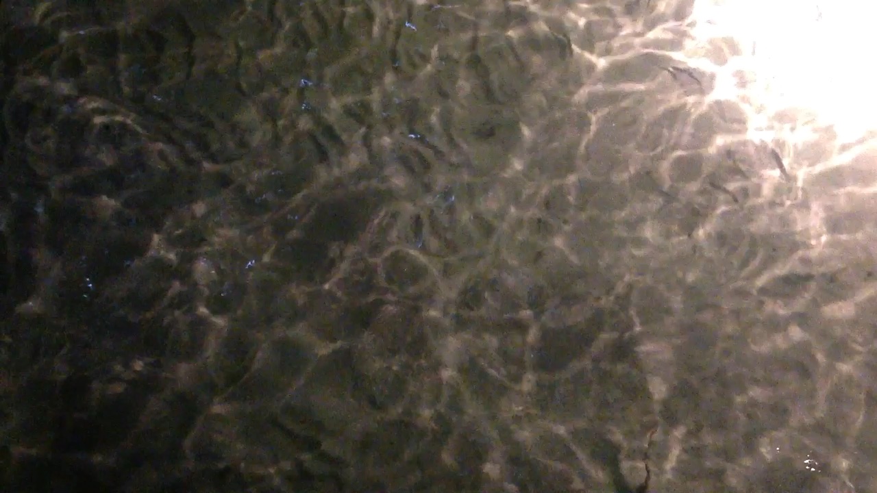 Soirée du 5 mai 2012 - balai de requins dans le lagon