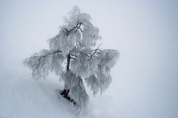 Tout schuss au soleil sur la neige !!!