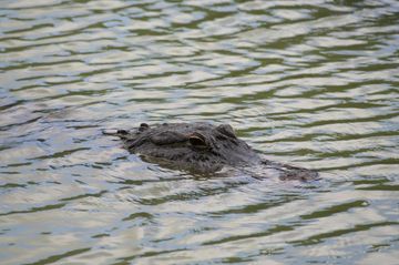 Petites vacances en famille en Floride