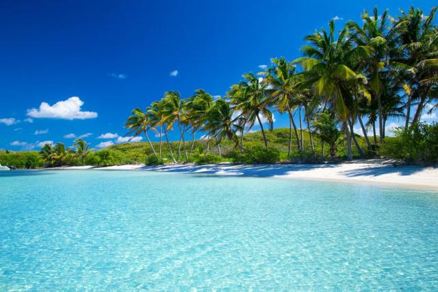 La Martinique : plages, plongées, ti-punch mais pas que...