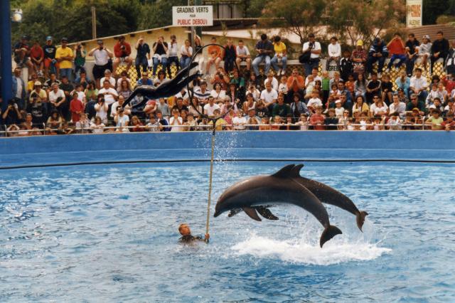 Marineland