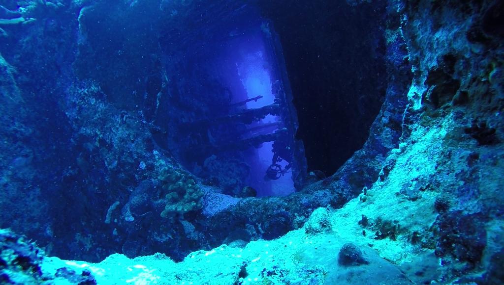 croisière plongée mer rouge