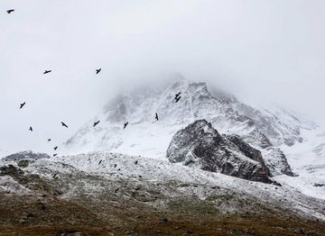 Road trip à la mode de camps