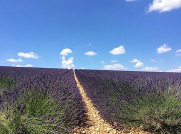 Petit voyage en Provence, entre autre pour le mariage à ma petite soeur.