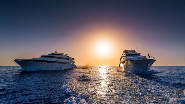 Nous n'aurons pas résisté longtemps à l'appel de l'Egypte : croisière plongée sur l'Atlantis !